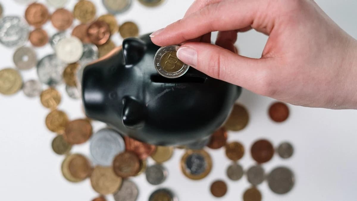 AltcoinSherpa retweete un aperçu de la qualité par rapport à la quantité Voici ce qui change