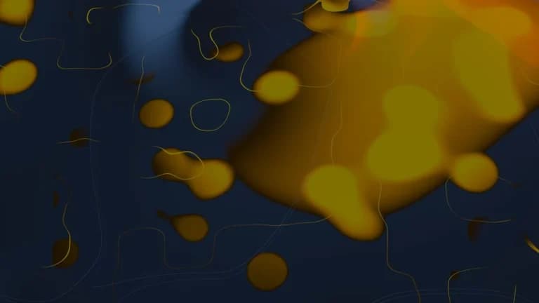 Binance CEO berichtet 70% der EU-Nutzer-Auszahlungen an selbstverwaltete Geldbörsen Was es für Händler bedeutet